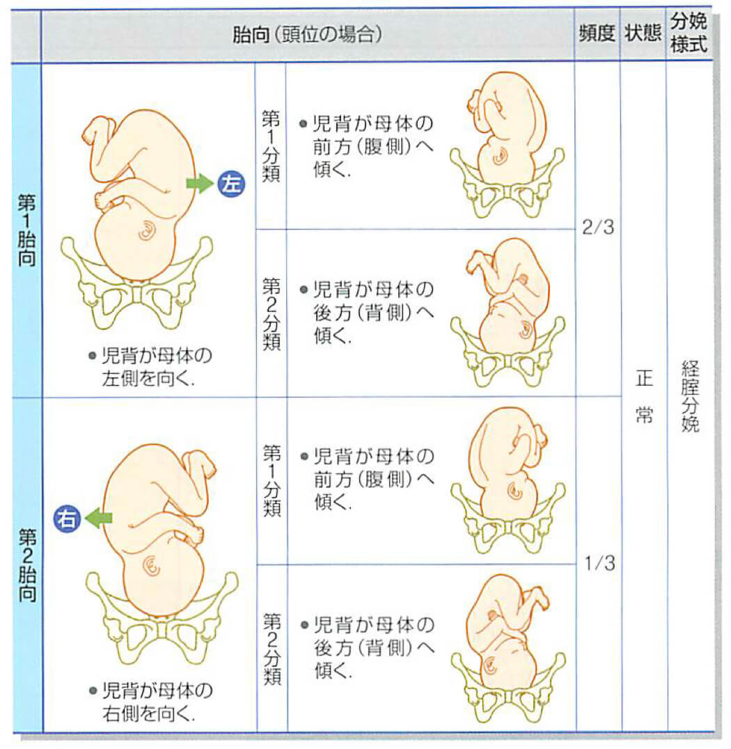 第113回 医師国家試験問題解説【問題 113A10】