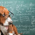 機械学習　ディープラーニング　統計　確率　基礎