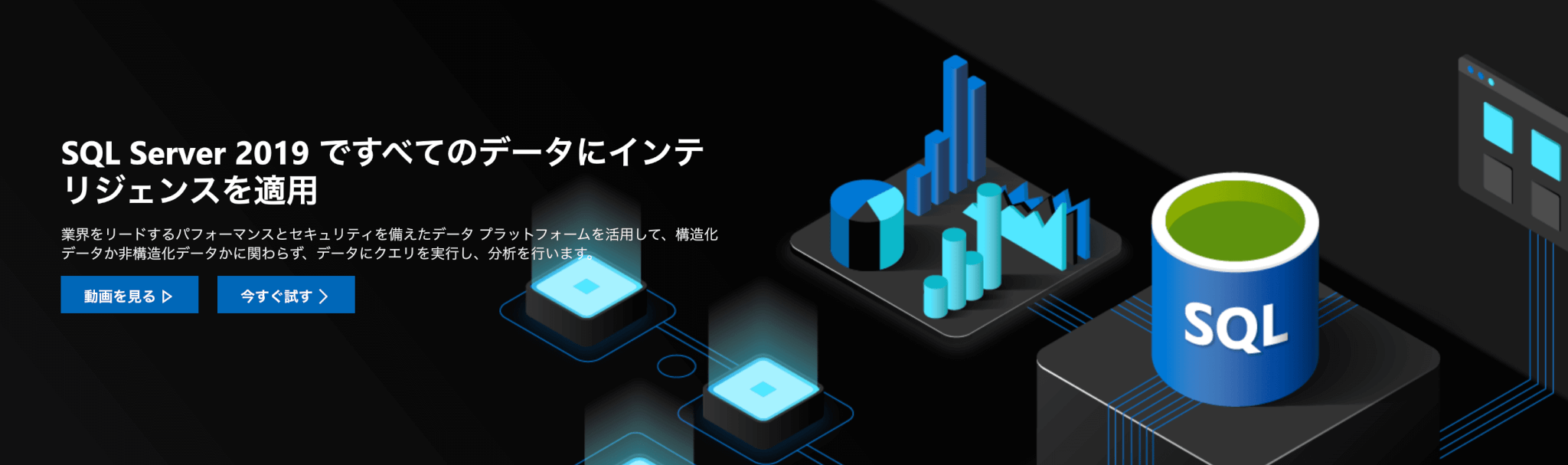 データベースとは　SQL　入門 SQL Serverのホームページ画面