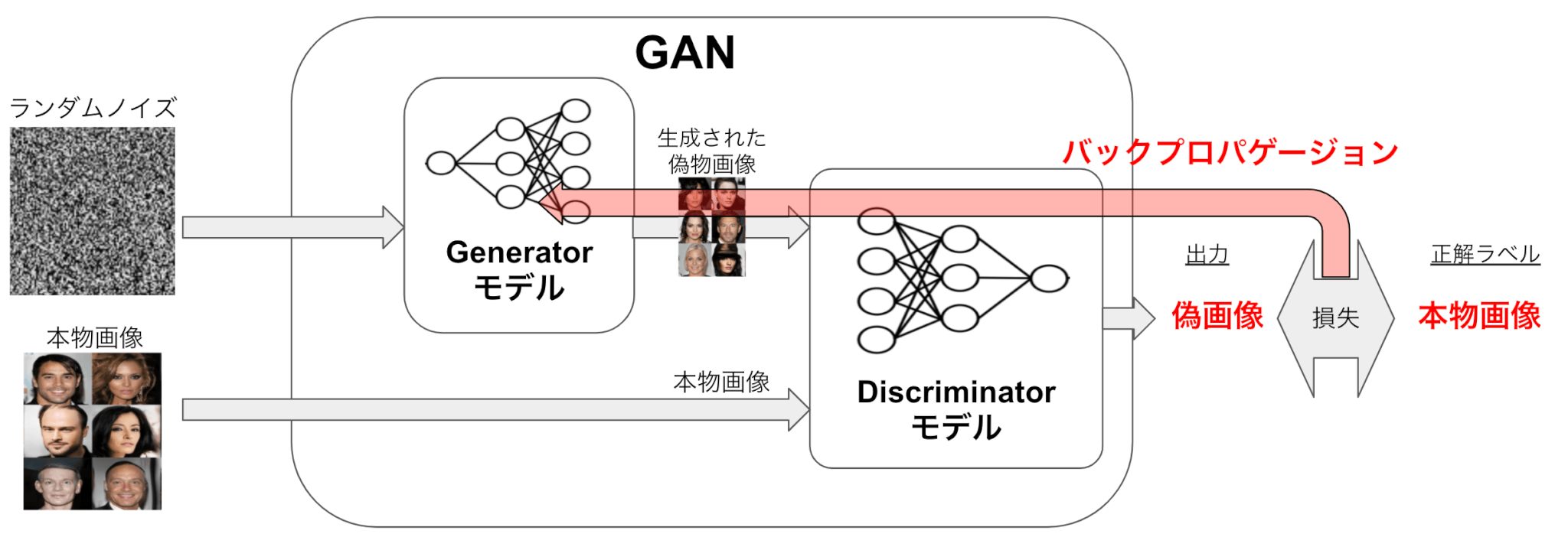 GANの学習の仕組み詳細　Gはノイズから画像を出力できるように、転置畳み込み層などを用いたニューラルネットワークを設定する。  Dは画像から本物/偽物のラベルを出力できるように、畳み込み層を用いたニューラルネットワークを設定する。（こちらは普通のCNNモデルと捉えても問題ない）  Dの出力と正解ラベル（偽画像か本物画像か）の損失を計算し、その損失をDとGにバックプロパゲーションを行うことによりGとDのネットワークの学習を行う
