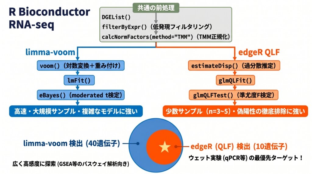 R(Bioconductor)によるlimma-voomとedgeR(QLF)の比較解析フローチャートと検出遺伝子数のベン図