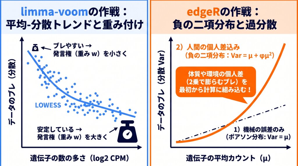 limma-voomの平均-分散トレンドによる逆分散重み付けとedgeRの負の二項分布(過分散モデル)の比較図解